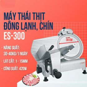 Máy Thái Thịt Chín - Thịt Đông Lạnh ES300 Máy Thái Thịt Chín - Thịt Đông Lạnh ES300